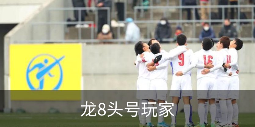 关于龙8头号玩家